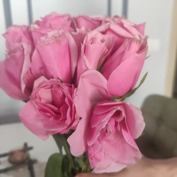 Lilyana Flowers Gönderdikleri Hazırlık Görseli Yanıltıcı, Hizmet Kalitesi İse Son Derece Kötü