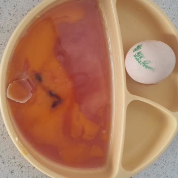 Tazedirekt'ten Aldığım Bayat Yumurtalar İçin Yetersiz Telafi