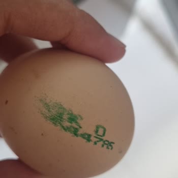Tazedirekt'ten Aldığım Bayat Yumurtalar İçin Yetersiz Telafi