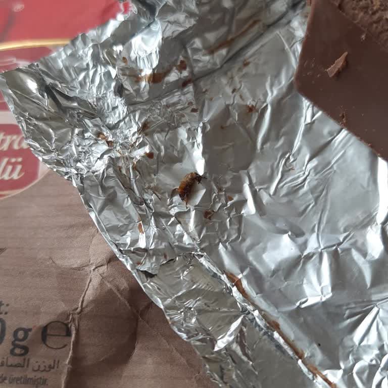 A101'den Aldığım Nestlé Çikolatasında Böcek Ve Son Kullanma Tarihi Sorunu