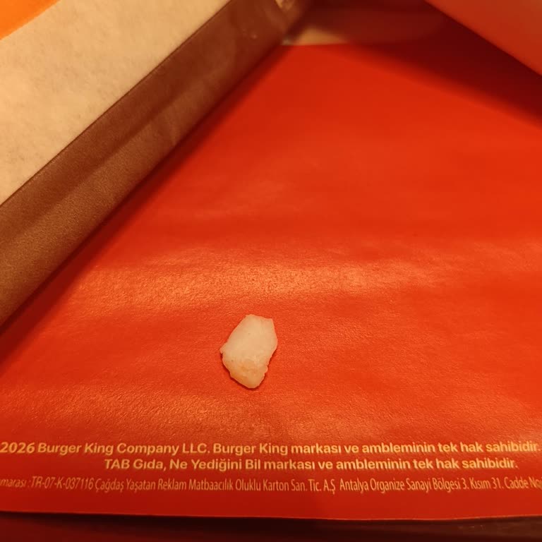 Burger King Çocuk Menüsünde Plastik Parça Bulundu