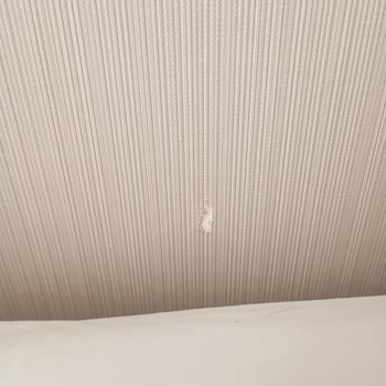 Mc Beach Resort Hotel Ciddi Hijyen Ve Hizmet Sorunlarıyla Karşılaştık
