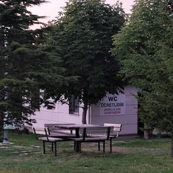 Belediye Tuvaletinde Ücretli Kullanım Ve Hakaretli Görevli
