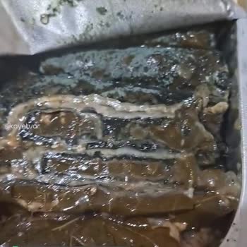 BİM'den Aktüel Ürün Olan Sera Yaprak Sarma Aldım, Küflenmiş Çıktı!