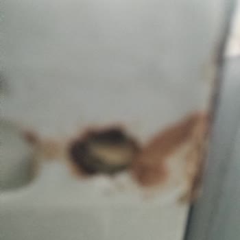 Arçelik Buzdolabında Paslanma Garantide Çözüm Yok, Ürün Değişimi Talebi