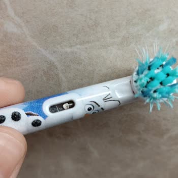 Oral-B Pro Timer Developed Mold Inside After Only Six Months