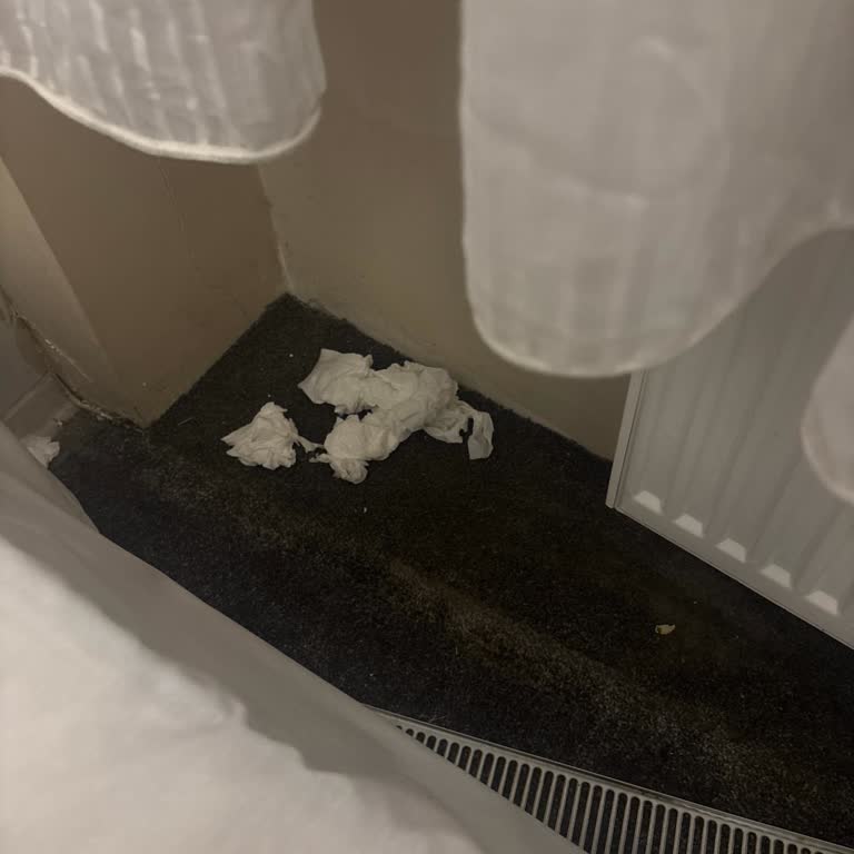 Palmiye Hotel (Taksim) Hijyen ve Konfor Sorunlarıyla Karşılaştım