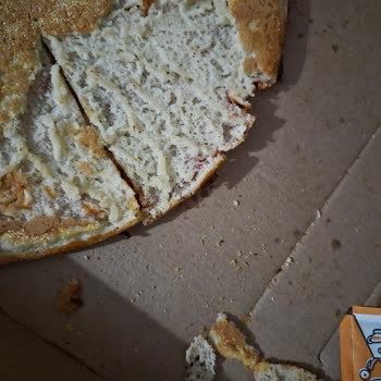 Little Caesars Delivered a Cold and Damaged Pizza