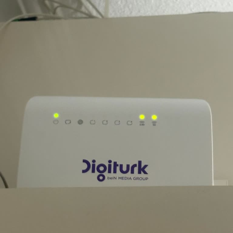 Kurulum Sonrası İnternet Kesildi, Destek Alamıyorum