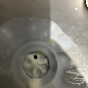 Sek Markasının Quark Ürününde Yabancı Cisim Ve Bozulma Şikayeti
