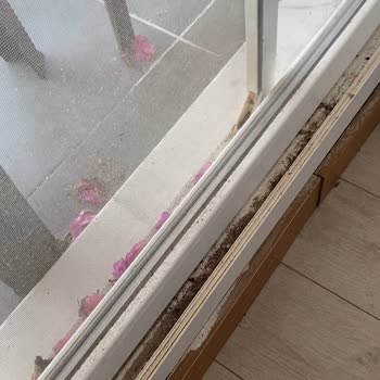 Asrı Ala Otelde Personel Hakareti Ve Hijyen Eksikliği Aileyi Derinden Yaraladı