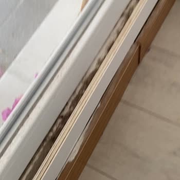 Asrı Ala Otelde Personel Hakareti Ve Hijyen Eksikliği Aileyi Derinden Yaraladı