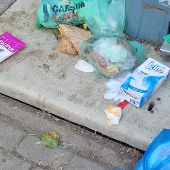 Pendik Belediyesi Çöp Konteyneri Temizlenmediği İçin Sağlık Riski Ve Koku Şikayeti