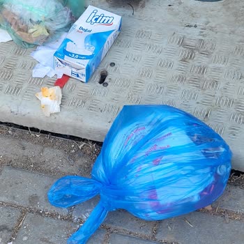 Pendik Belediyesi Çöp Konteyneri Temizlenmediği İçin Sağlık Riski Ve Koku Şikayeti