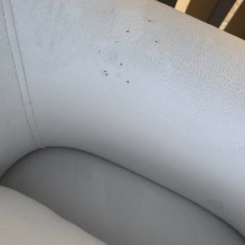 Krem Kumaşlı Pati Dostu Koltukta Fabrika Hatası Ve Çözüm Talebi