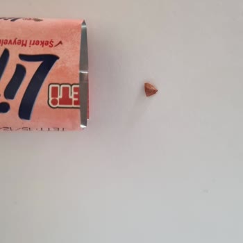 Eti Lifalif Barında Çıkan Vişne Çekirdeği Diş Ağrısına Neden Oldu