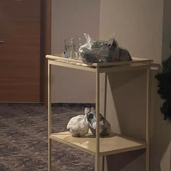 Mc Beach Resort Alanya’da Temizlik, Havlu Ve Personel Tutumu Sorunları