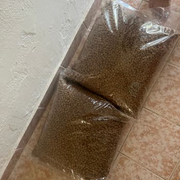 Sipariş Edilen Kedi Maması Yerine İsim Ve Etiketsiz Ürün Gönderildi: 3.735 TL İadesi Talebi