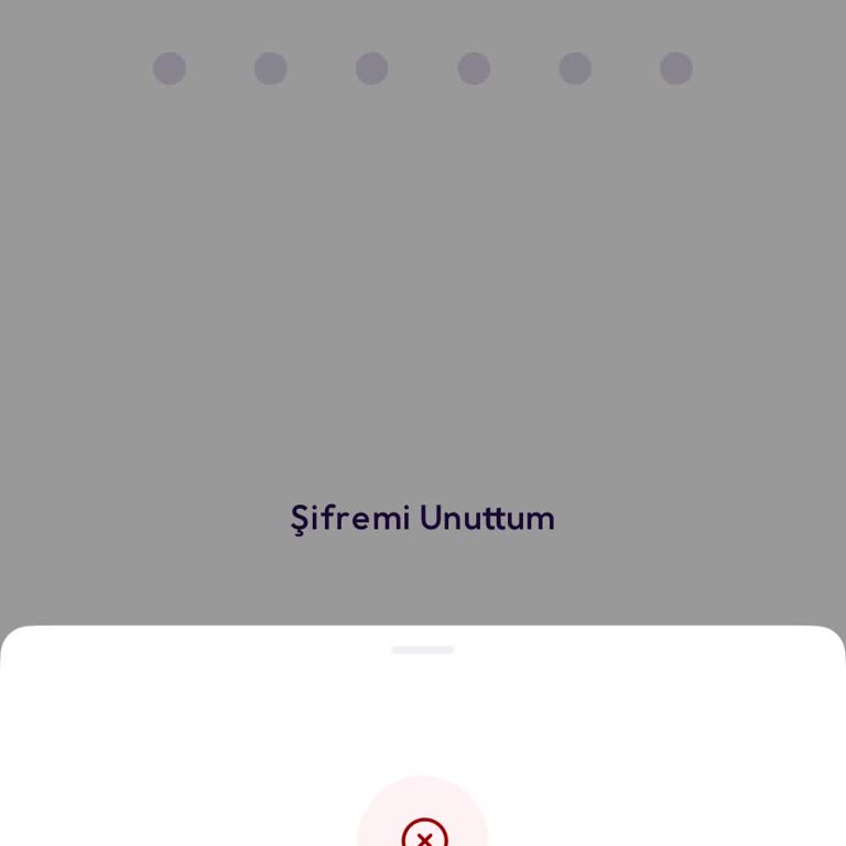 Param Mobil Uygulamasına Giriş Yapamama Ve Müşteri Hizmetine Ulaşılamama