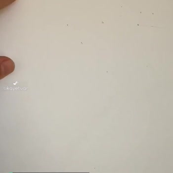 Vivense Pişmanlık!