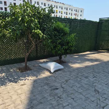 34 Bin TL Ödeyerek Aldığım Tek Yıldızlı Otelde Hijyen Ve Yemek Sorunları