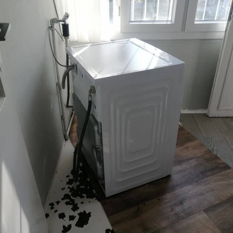 Beko Çamaşır Makinesinde Sürekli Ses Ve Titreşim, Çözüm Bulamayan Servis