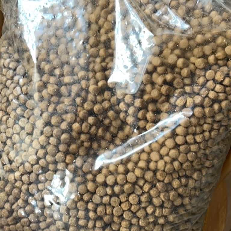 Orijinal Olmayan Köpek Maması Ve Sağlık Problemleri