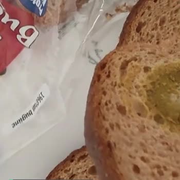 Küflü Ekmek Untad