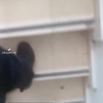 Can Sıkan Spor Ayakkabı Puma