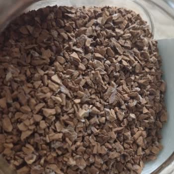 Encuentro Telaraña Blanca en Nescafé Gold y Riesgo de Salud