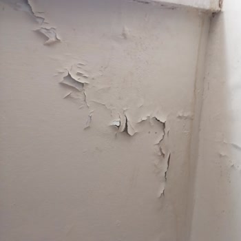 Rutubetli Oda, Asansörsüz Otel Ve İade Reddi