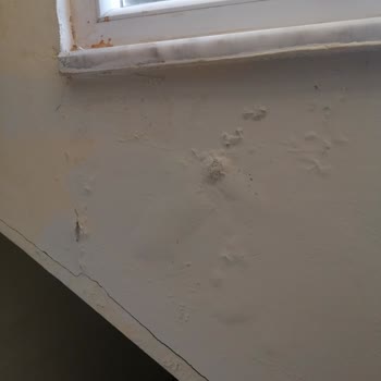 Rutubetli Oda, Asansörsüz Otel Ve İade Reddi