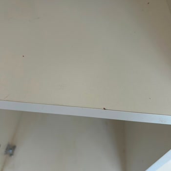 Özel Ölçülü Gardıropta Boya Atması Ve Yetkili Personelin Kaba Tutumu