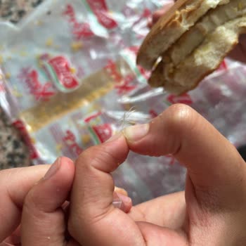 Lezita Dondurulmuş Piliç Burger Köfte Ürünün İçinde Tüy Benzeri Beyaz Lifli Cisim