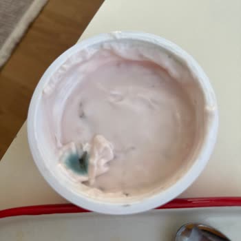 Son Tüketim Tarihinden Uzun Süre Önce Küflü Quark Yoğurdu