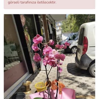 Yanıltıcı Renk Görselleri Ve Zorla Onay İsteği