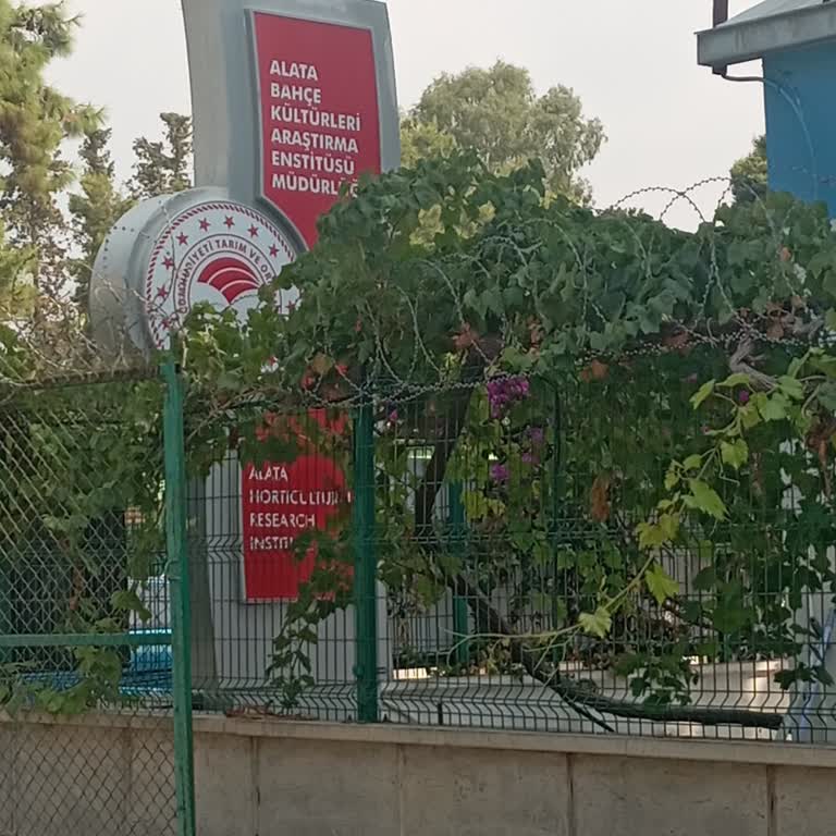 Plaj Giriş Ücreti Aşırı Yüksek Ve Yiyecek İçecek Yasaklaması Hakkında Şikayet