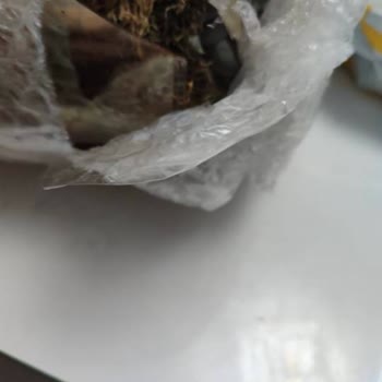 Kırık Ürün Ve İade Sorunu: Ödemenin Onaylanmasını Talep Ediyorum