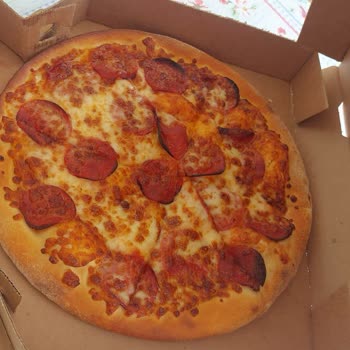 1 Saat Gecikmeli Yanmış Pizza Ve Eksik Tavuk İçin Cevapsız Şikayet