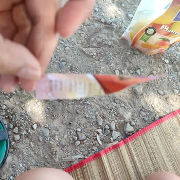 Rozen Mango Dilimlerinde Çürük Koku Ve Şikayet Formu Hatası
