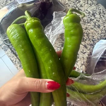 Sağlık Riski Taşıyan Bozulmuş Yumurtalar Ve Çamaşır Suyuna Düşen Ürünler İçin İade Talebi Reddedildi