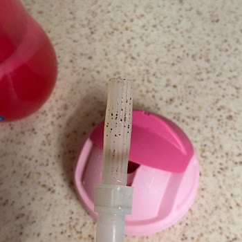 Wee Baby Çocuk Suluğu Pipetinde Siyah Lekeler Ve Sızdırma Sorunu