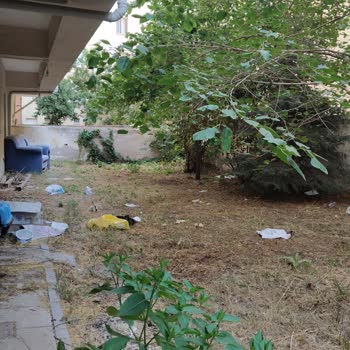 Tamamlandı Olarak İşaretlenen Çöp Ve Su Sızıntısı Şikayetim Cevapsız Kaldı