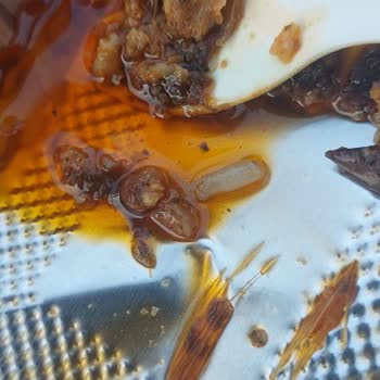 Burcu Kuru Patlıcan Dolma’da Yabancı Parçalar Bulunması Sağlık Riski Oluşturdu