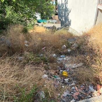 İnönü Mahallesi Yıkım Kalıntılarının Kaldırılmaması Ve Sürekli Fare Sorunu
