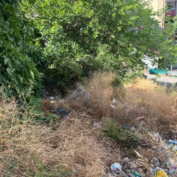 İnönü Mahallesi Yıkım Kalıntılarının Kaldırılmaması Ve Sürekli Fare Sorunu