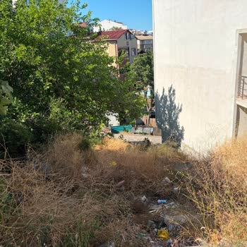 İnönü Mahallesi Yıkım Kalıntılarının Kaldırılmaması Ve Sürekli Fare Sorunu