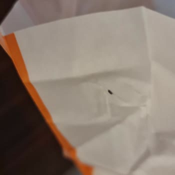 Carrefour Un Paketi İçinde Böcek Tespiti