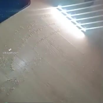 Philips Önceliğim Kaskomdan Dolayı Değişim Olmazsa Onarım Talep Ediyorum!