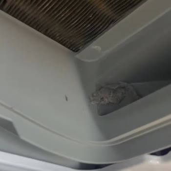 Çocuk Güvenliği Endişesiyle Kırık Kapaklı Beko Kurutma Makinesi Değişim Talebi